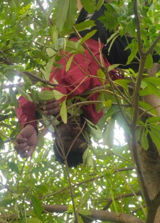 rajgarh,Guest teacher dies , high tension line
