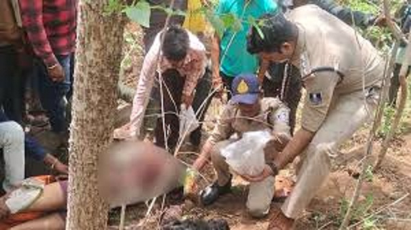 burhanpur,   tiger attacked ,extract gum in the forest