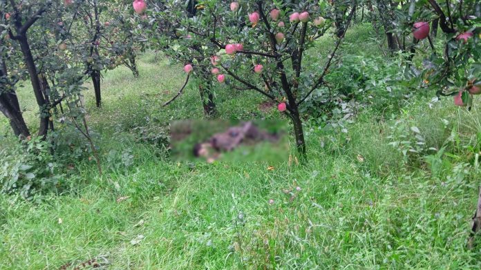 srinagar, Terrorist killed, Kulgam encounter