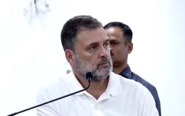 new delhi, Rahul Gandhi , Wayanad