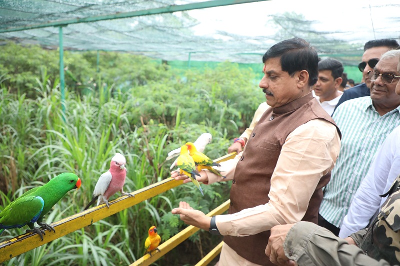 indore, Madhya Pradesh, Dr. Yadav