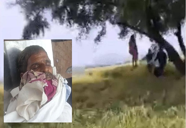 seopur, Farmer hangs,damages paddy crop