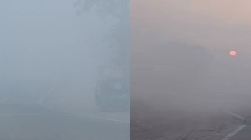 bhopal, Severe cold , Madhya Pradesh