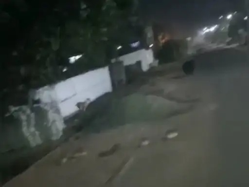 anuppur, Wild animals ,search of food