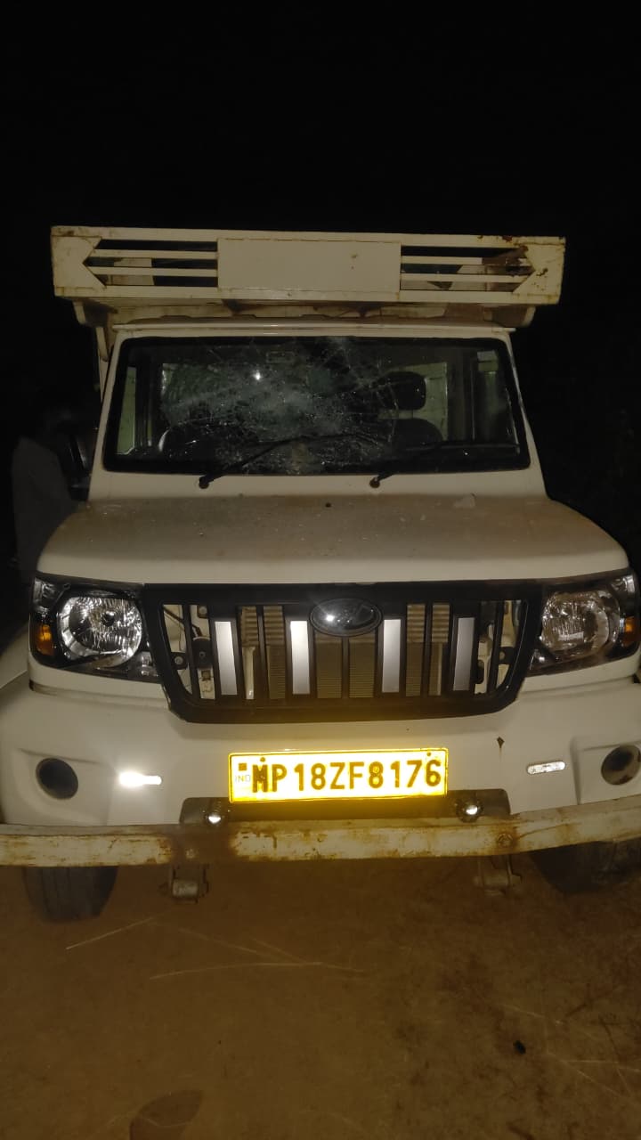 anuppur, Vehicle carrying, animals 