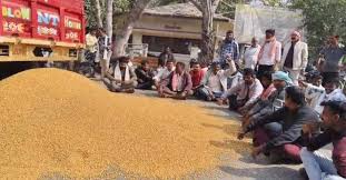 Harda , Uproar, Harda Krishi Upaj Mandi, Farmers enraged , low prices
