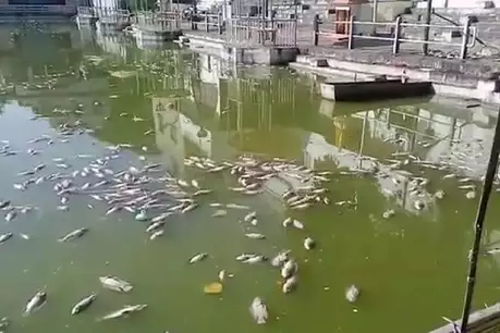 talab bhopal