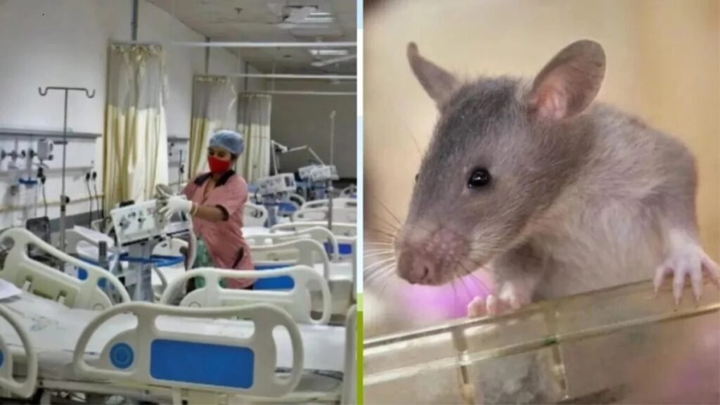 Jabalpur ,  hospital\