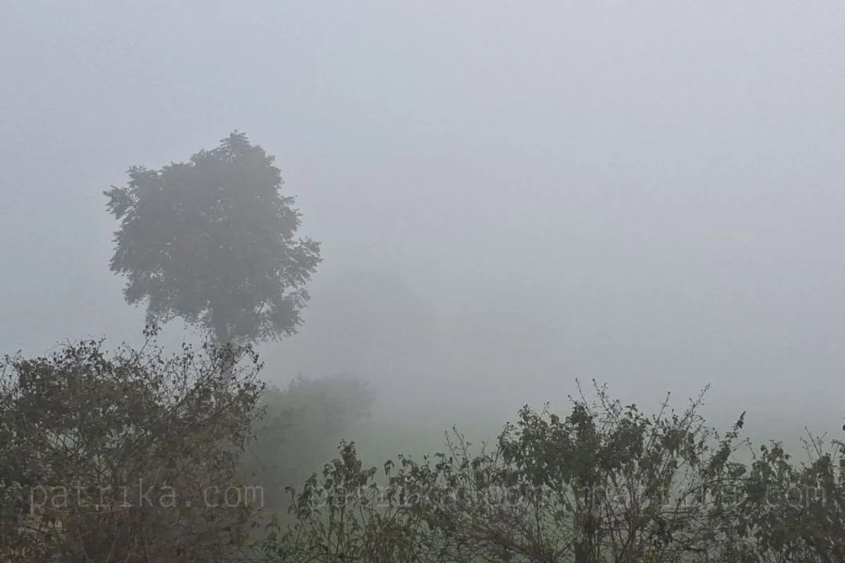 Gwalior , records second coldest morning , 24 years, mercury drops ,10.4 degrees Celsius