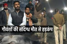   Madhyapradesh,bhopal,  After Indore, contaminated ,water, wreaks, havoc,  Shahdol