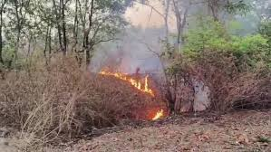 Fire , Govindgarh forests ,Rewa, relief work underway