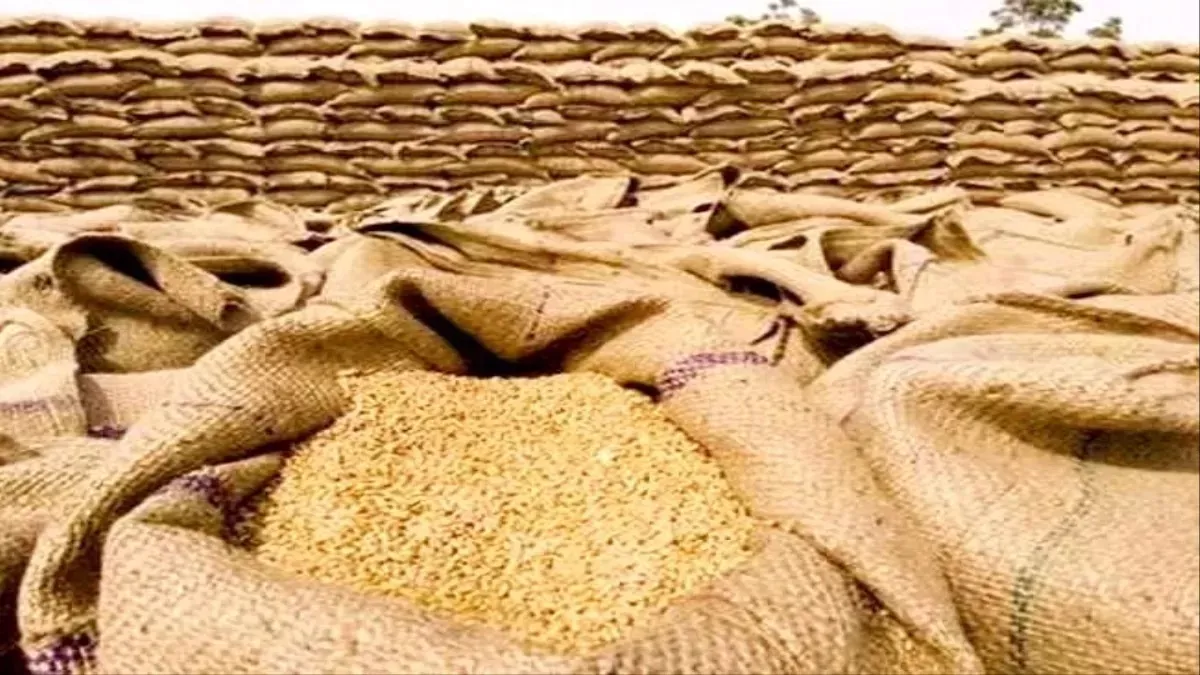 Wheat scam , Jabalpur, 5167 quintals , grain missing; FIR 