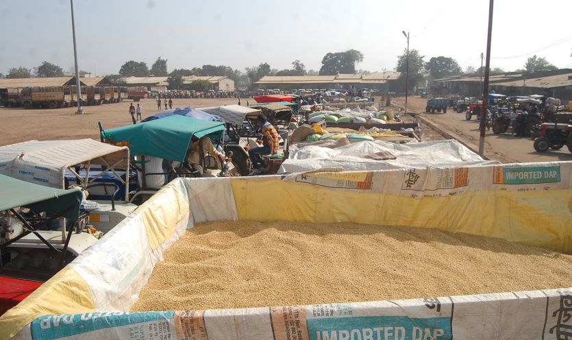 kisan