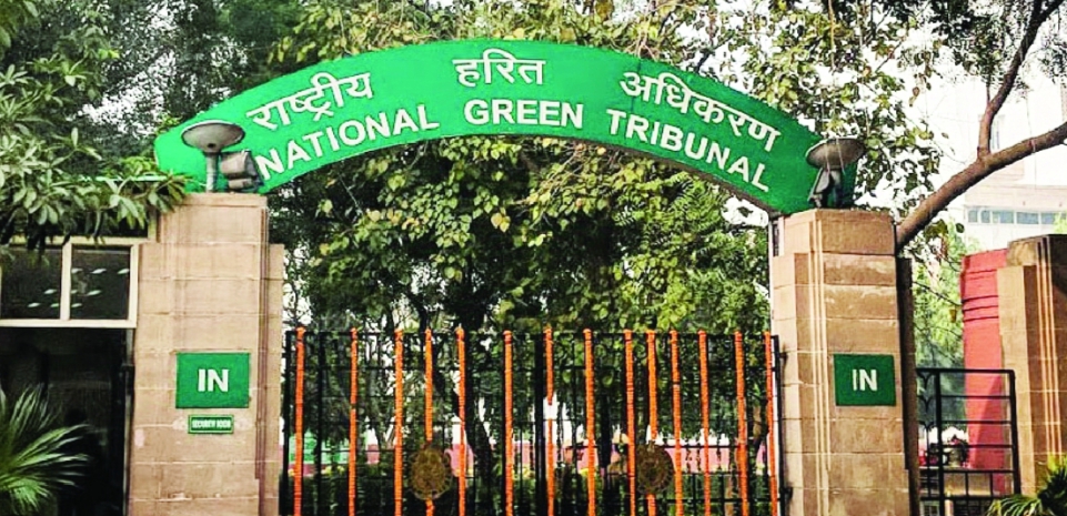 ngt