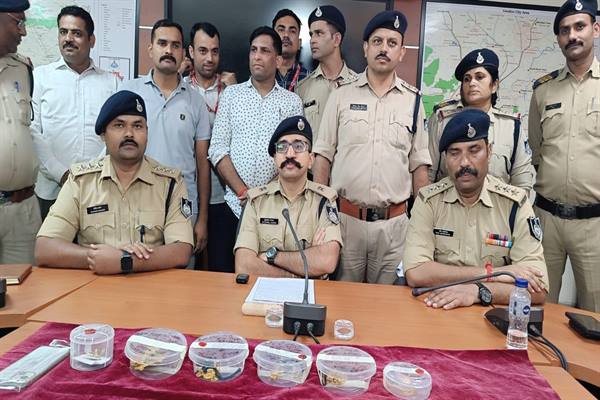 crime police