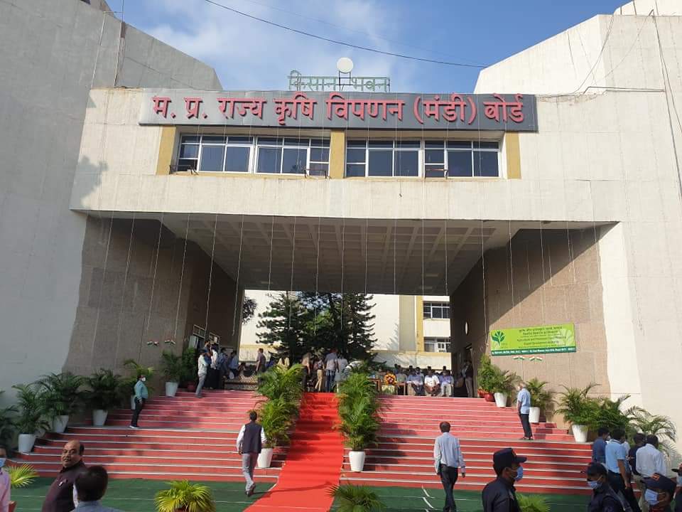 mandi biard