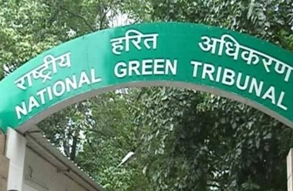 ngt 
