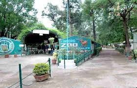 indore,Moti in depression, uncontrollable after Hathni\