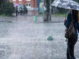 bhopal, Heavy rain, hailstorm,many districts , MP