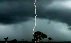 damoh, Two young men ,working, field die due, lightning fall