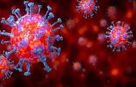 indore, Two more deaths, corona, 18 new cases, 1699 infected