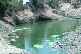 साईंहिल्स से लेकर दानिशकुंज तक जहरीली हुई कलियासोत