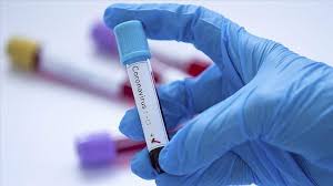 neemuch,Eight people, beat Corona , district, 2656 healthy so far