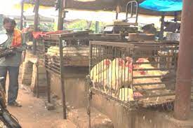 bhopal,Chicken-mutton shops ,blowing curfew,corporation took action