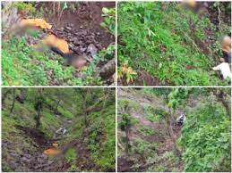 badwani, Jeep full of devotees, fell into 400 feet ,deep gorge, eight killed