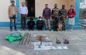 bhopal,Two accused , leopard hunting arrested