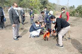 bhopal,CM Shivraj, planted Maulshree ,Gulmohar saplings