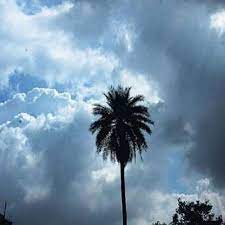 bhopal,Increase,day temperature, clouds may prevail