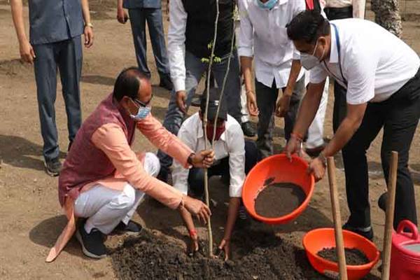 bhopal,Chief Minister Chouhan, planted saplings , Karanj and Kesia 