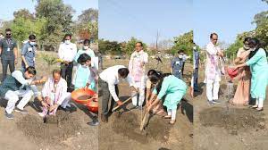bhopal, Chief Minister, planted saptaparni , cassia plants