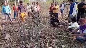 seoni, One killed ,tiger attack, anger among villagers