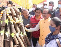 bhopal, Chief Minister Shivraj ,bought cow-wood , Holi