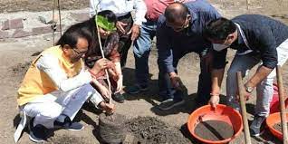 bhopal, Chief Minister Chouhan, planted Karanj , Gulmohar saplings 