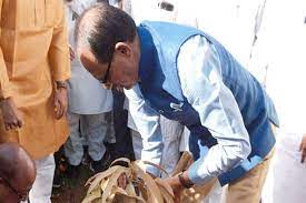 bhopal, Chief Minister Shivraj, planted a mango plant, Pachmarhi