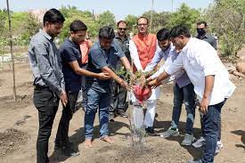 bhopal,  Chief Minister Chouhan, planted Arjun , Cassia saplings