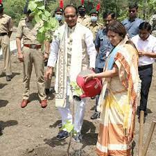 bhopal, Chief Minister Chouhan ,planted 