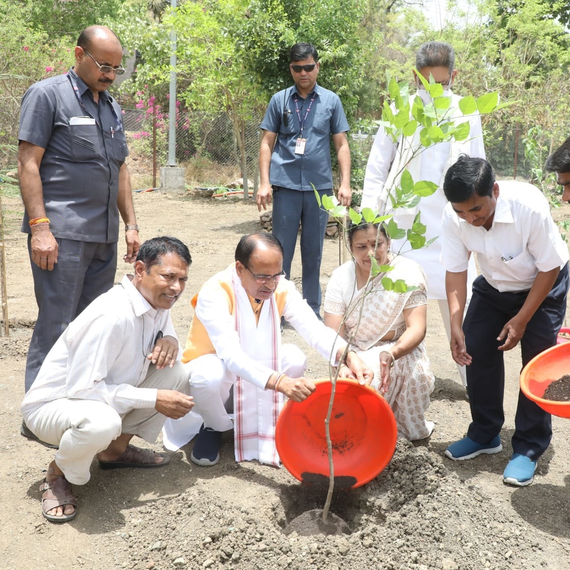 bhopal, Chief Minister Chouhan ,planted saplings 