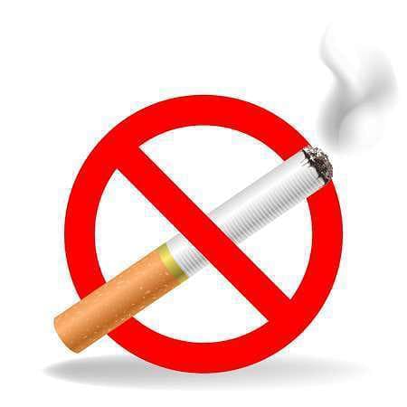 नशे की ओर बढ़ती नयी पीढ़ी भोपाल में रोज़ाना बिकता है 2 करोड़ का तम्बाकू उत्पाद